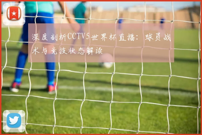 深度剖析CCTV5世界杯直播：球员战术与竞技状态解读